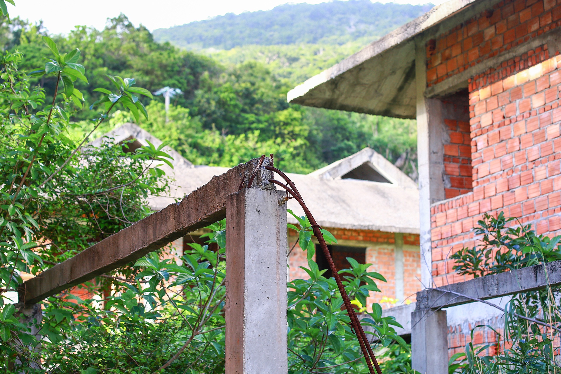 Du an bo hoang anh 7