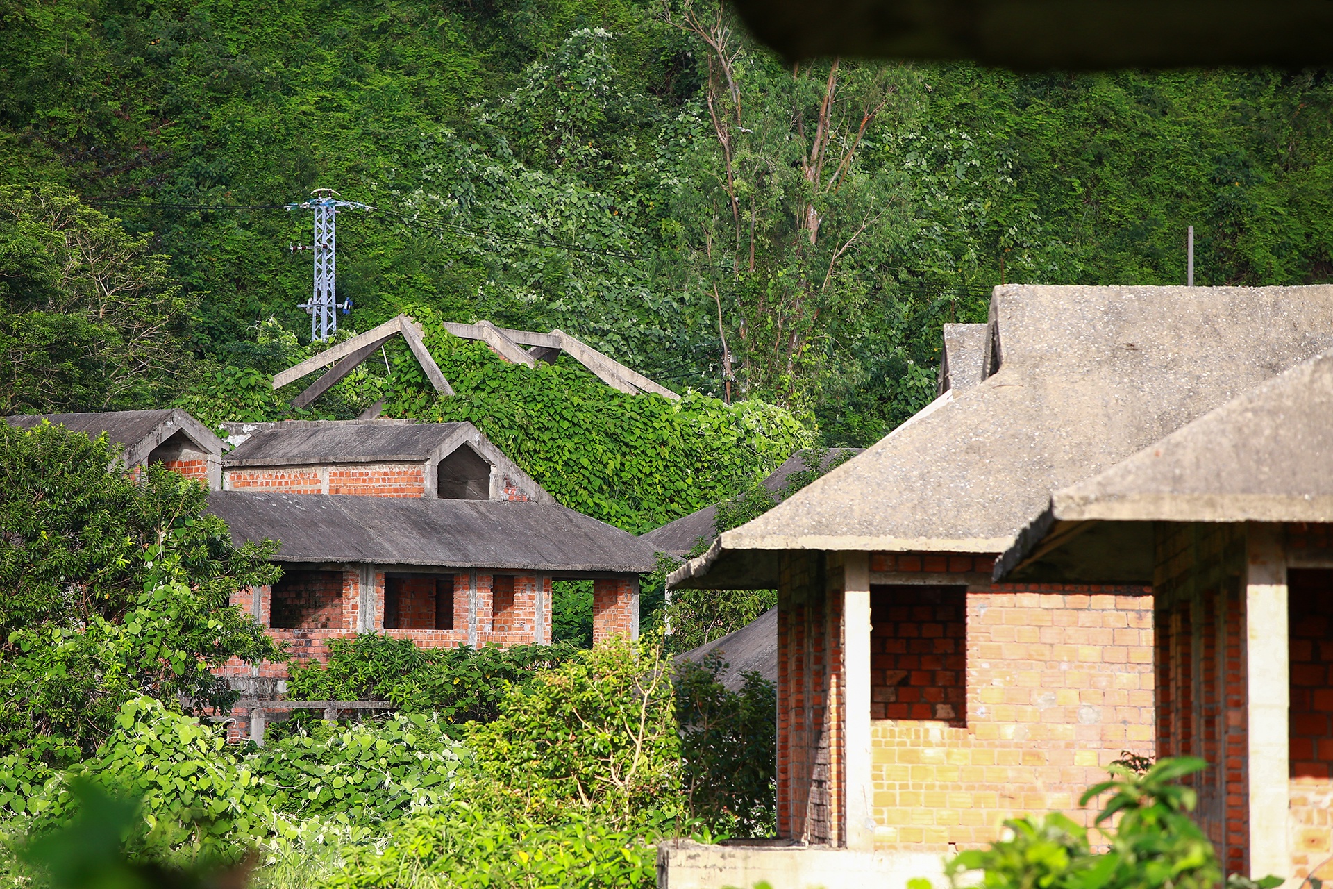 Vi sao hang loat biet thu, resort bo hoang o Da Nang chua duoc xu ly? hinh anh