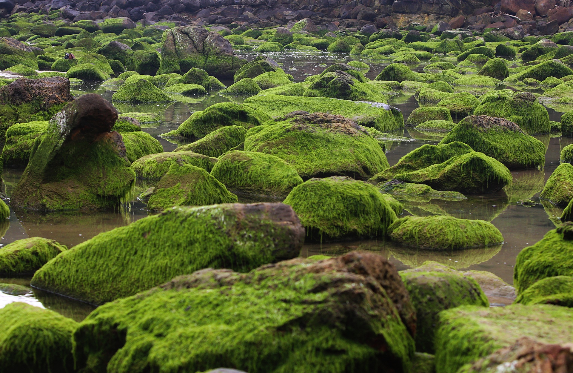 Bien Nam O Da Nang anh 11