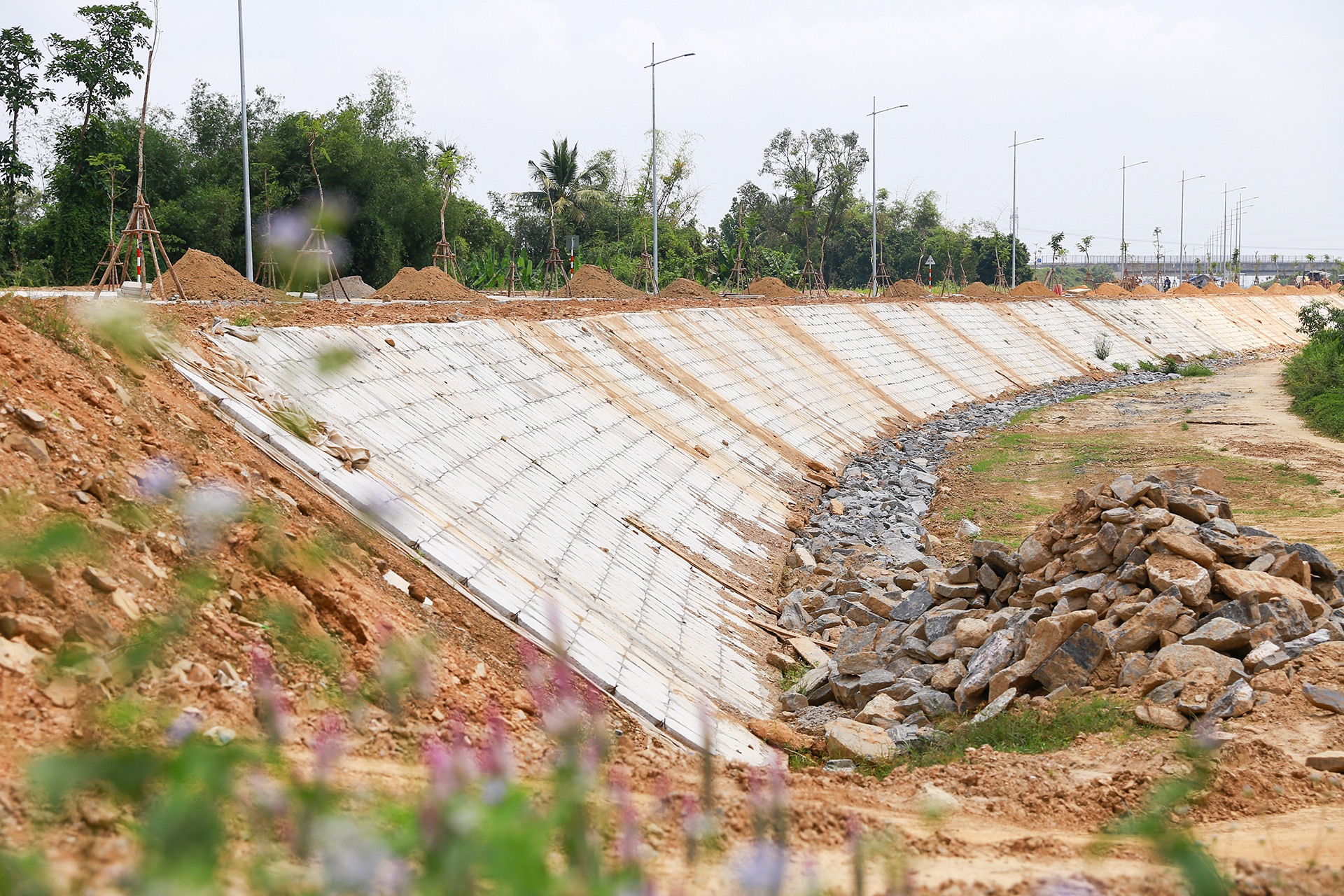 Du an o Da Nang anh 6