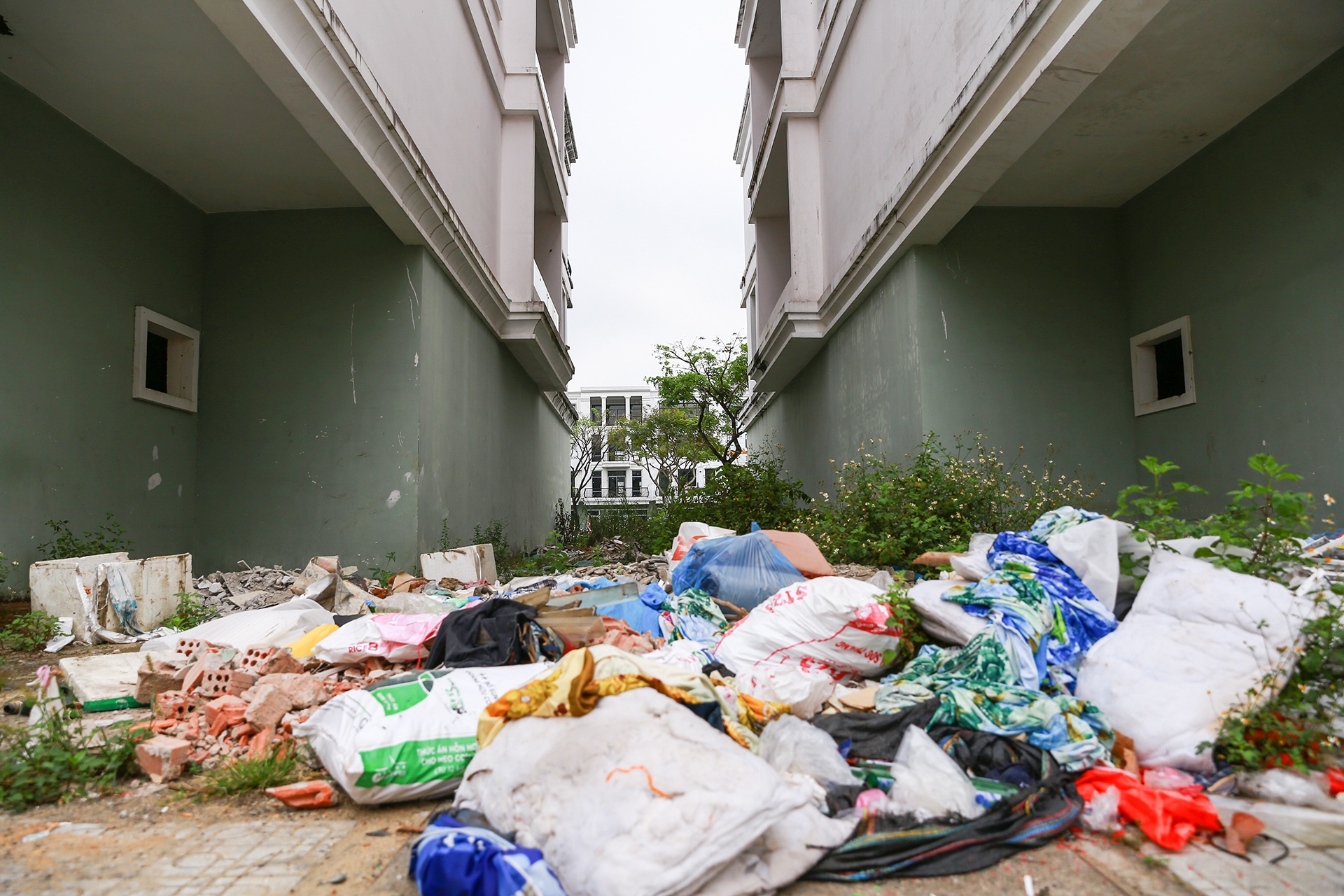 Shophouse o Da Nang anh 9