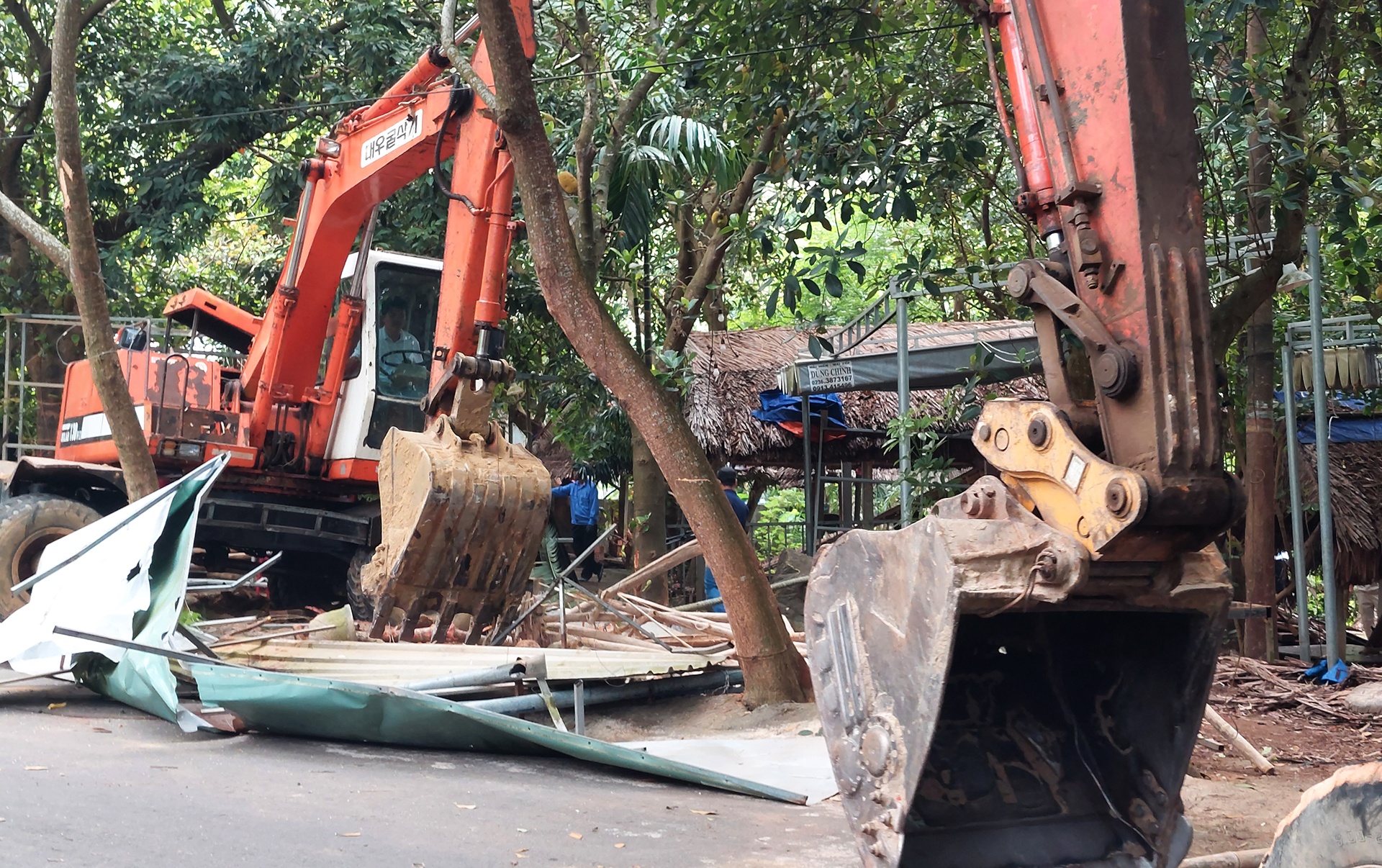 Trai phep o Son Tra anh 2