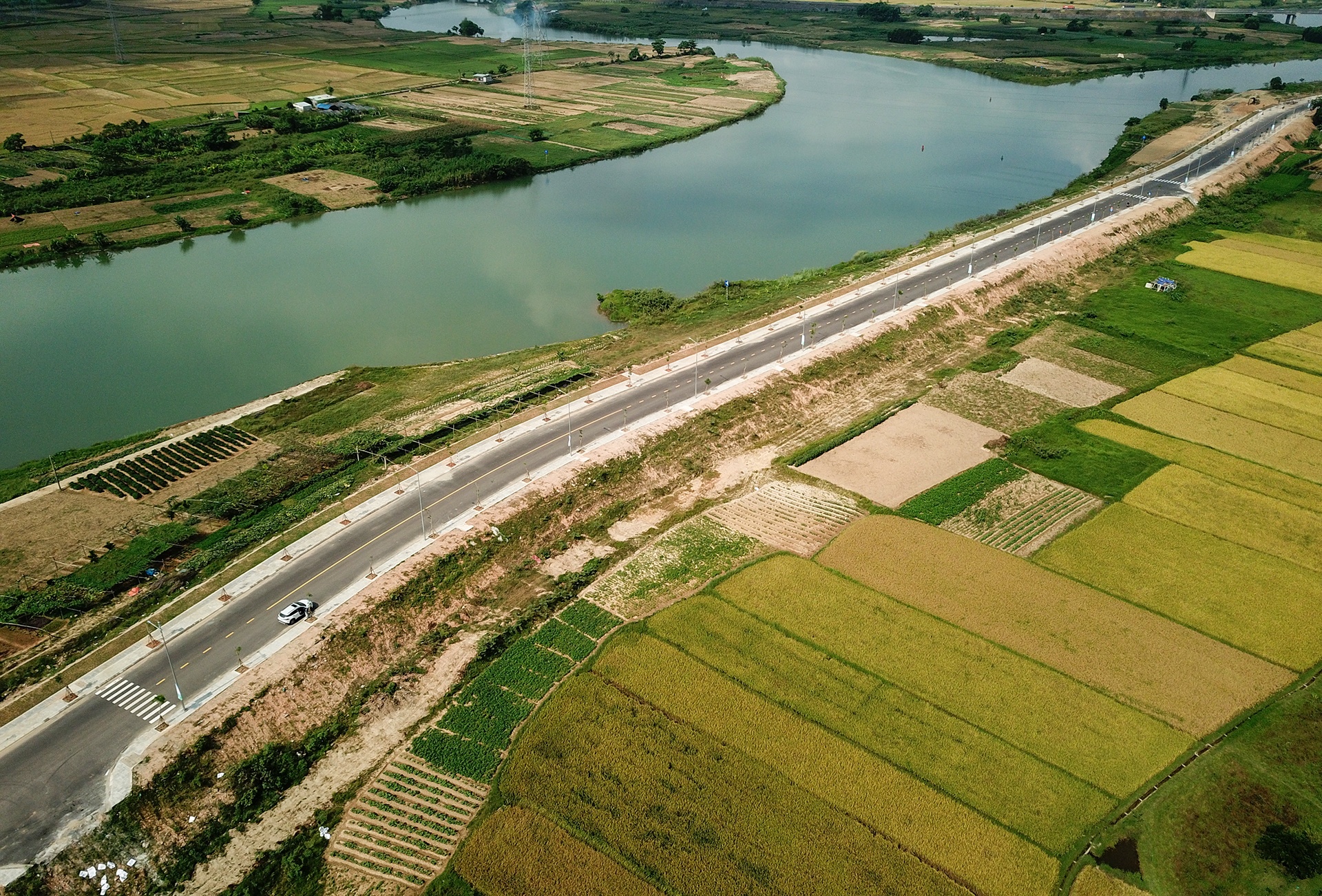 Duong ven song Da Nang anh 7