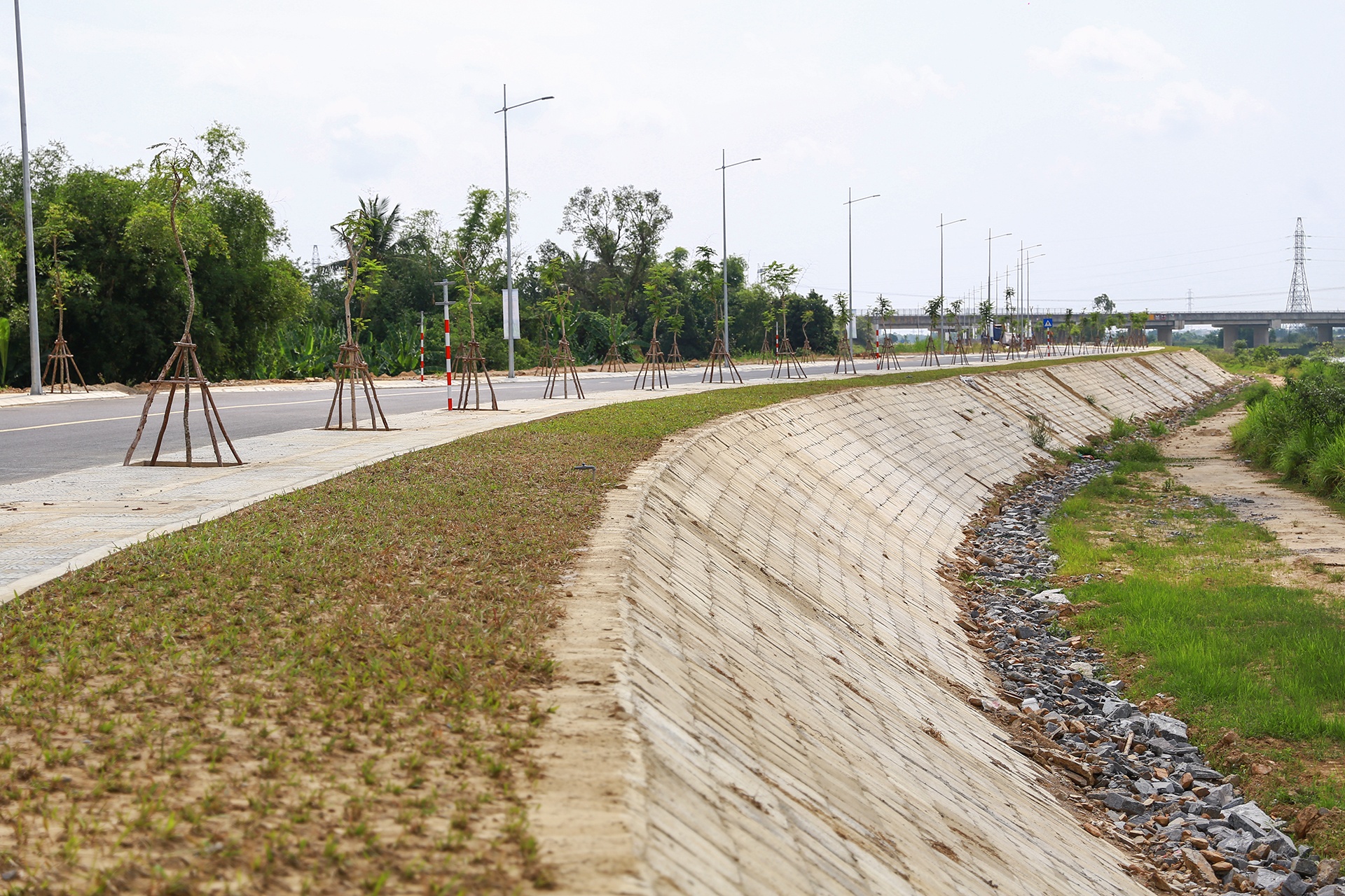 Duong ven song Da Nang anh 8