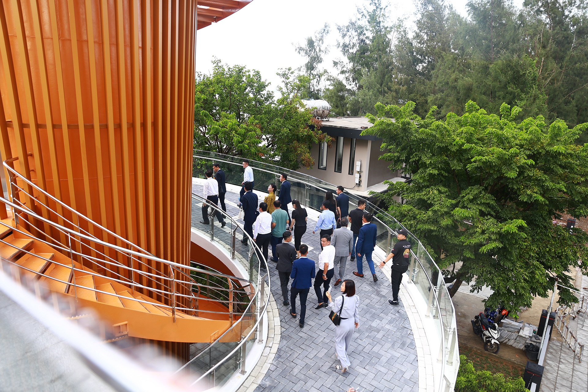 Cau di bo Da Nang anh 6