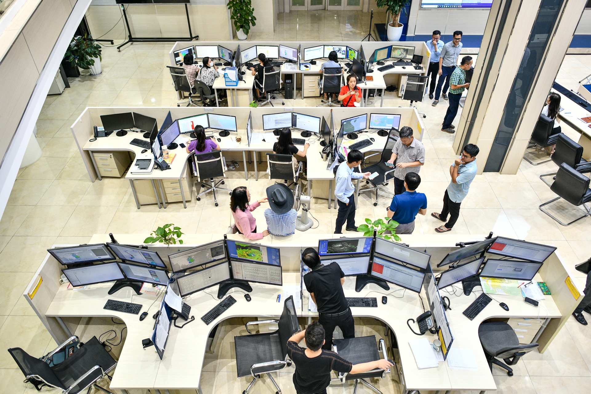 Bao so 4 do bo anh 6