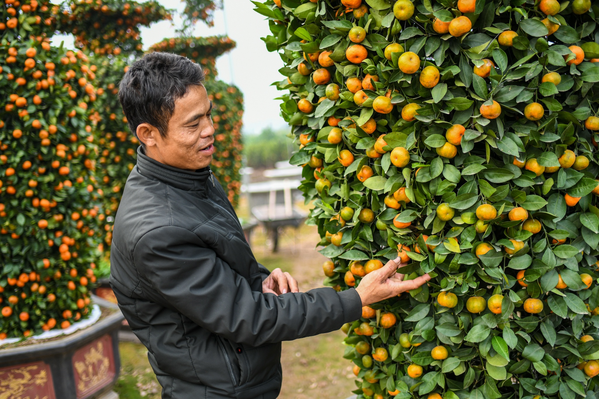 Quyt loc binh khong lo dat hang ngay can Tet hinh anh