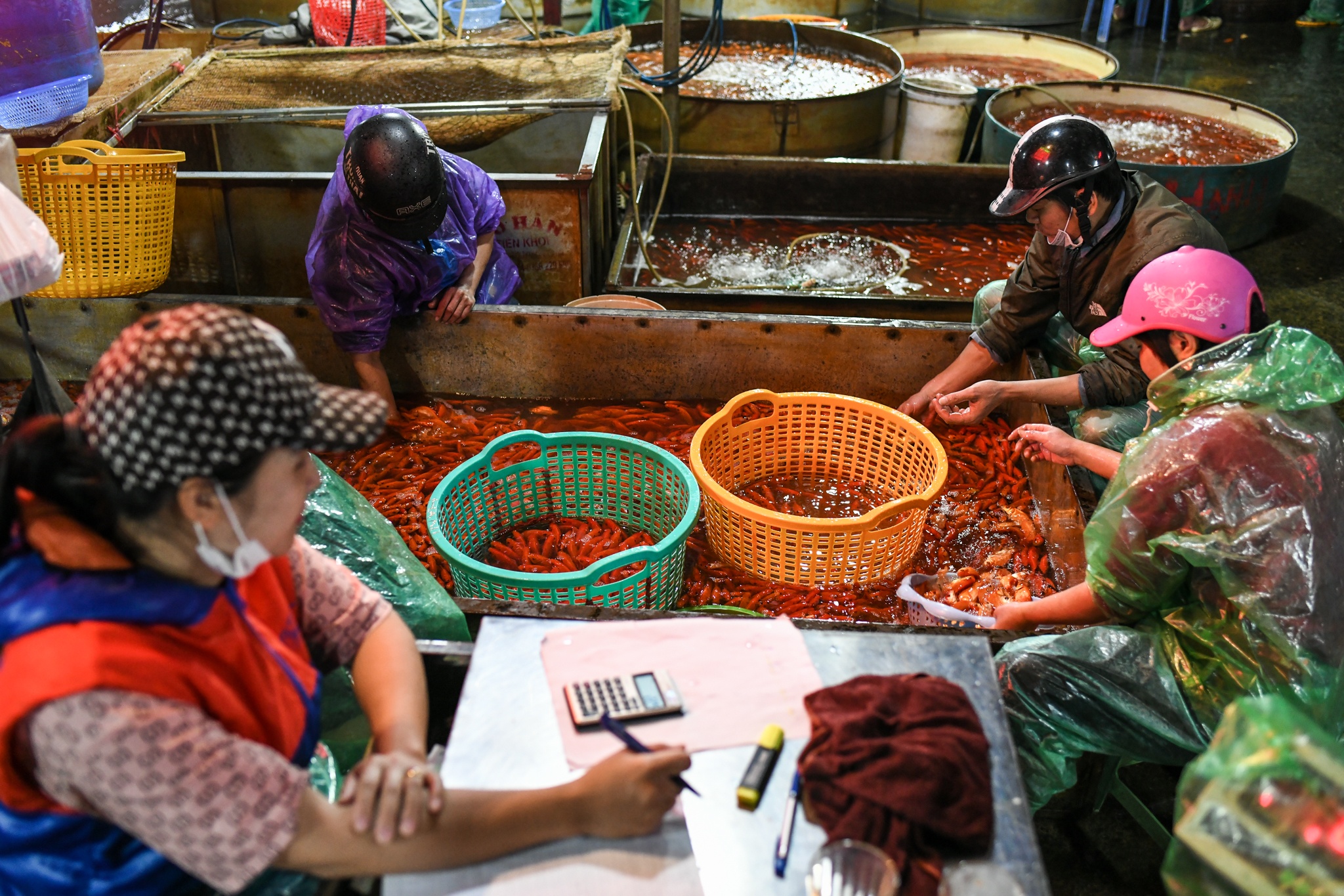 Gia ca chep giam manh anh 2