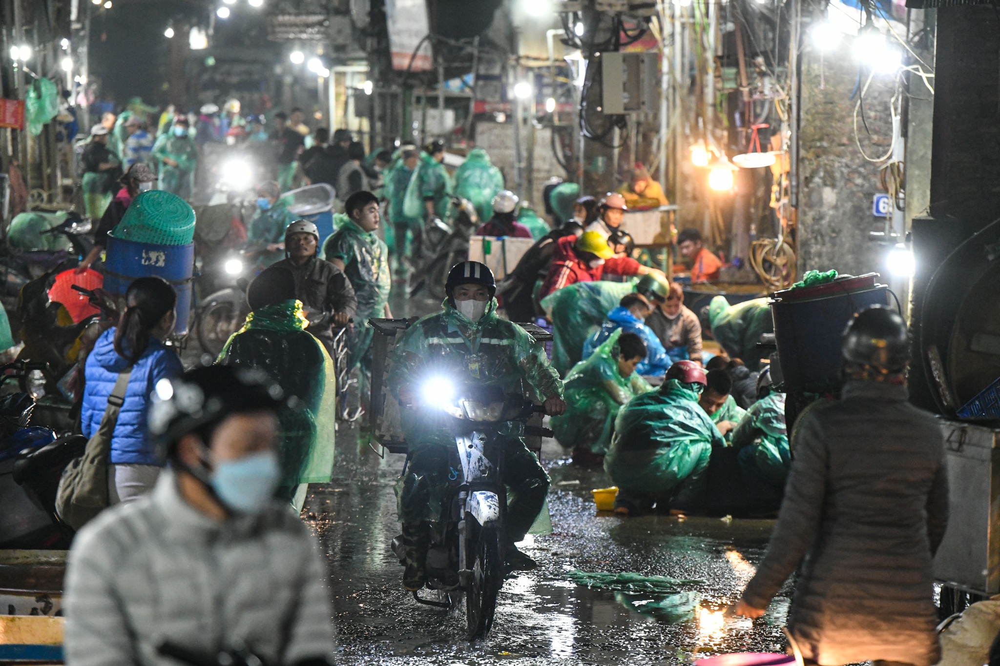 Gia ca chep giam manh anh 1