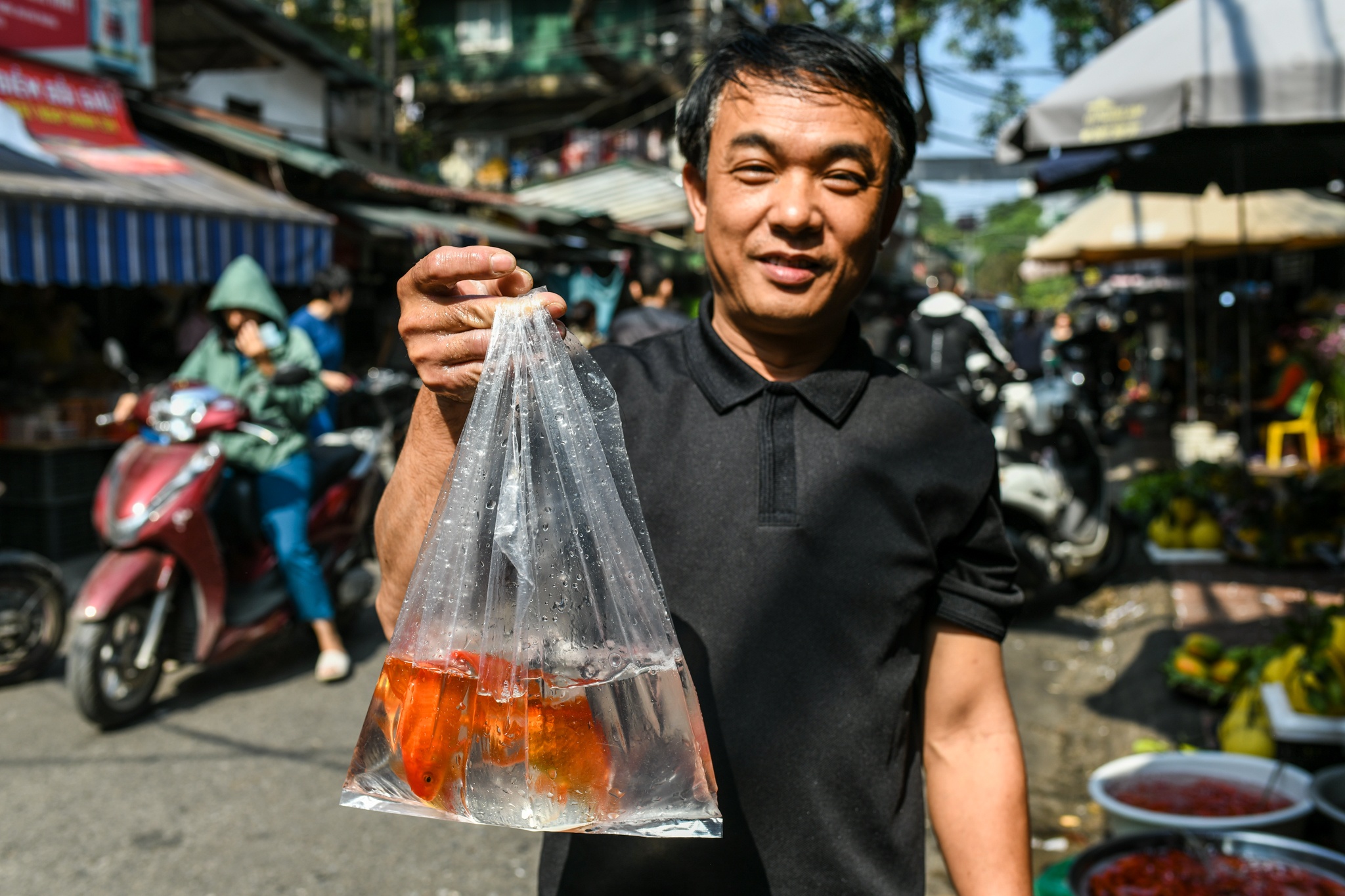 Gia ca chep giam manh anh 13