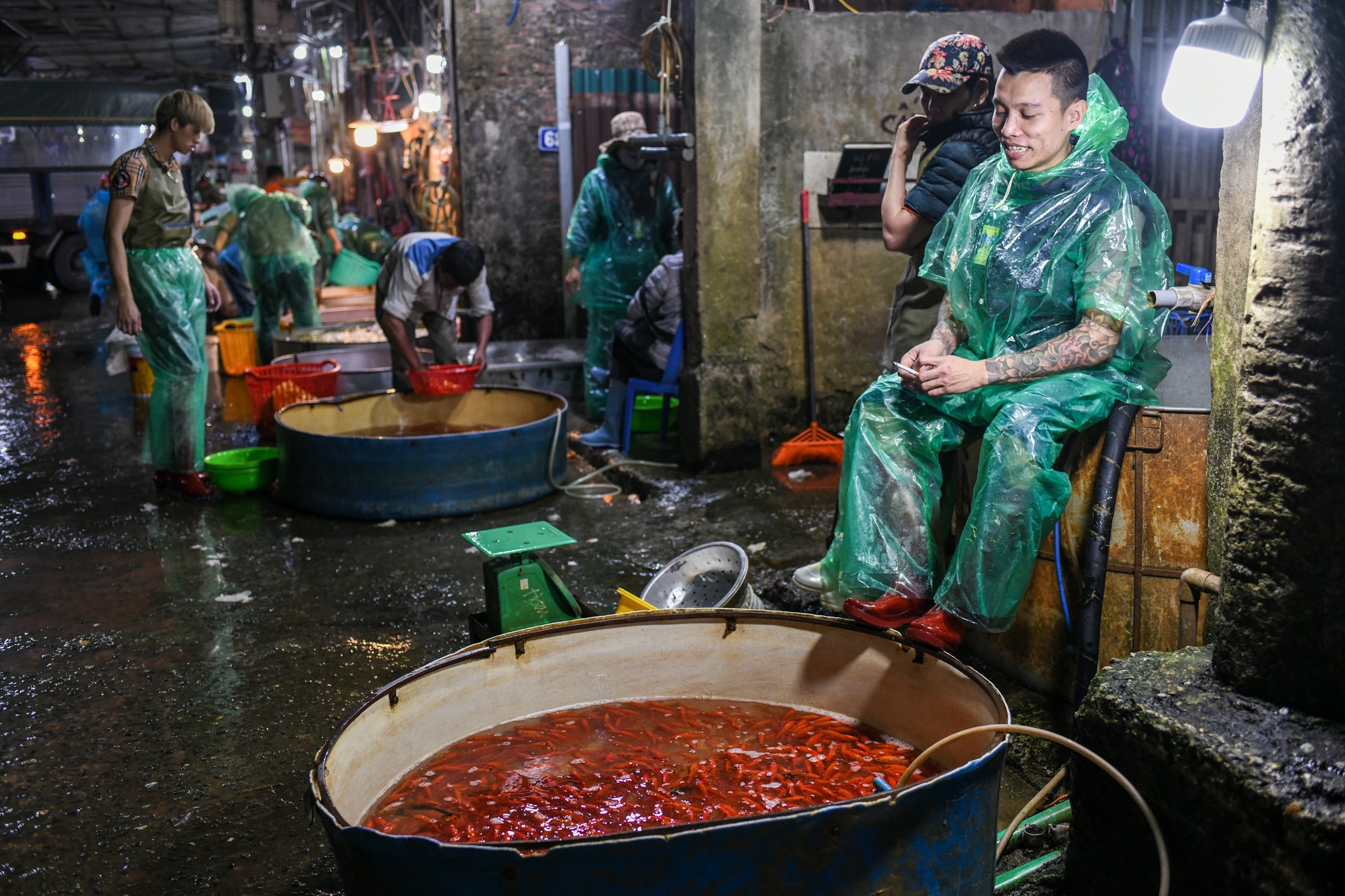 Gia ca chep giam manh anh 4