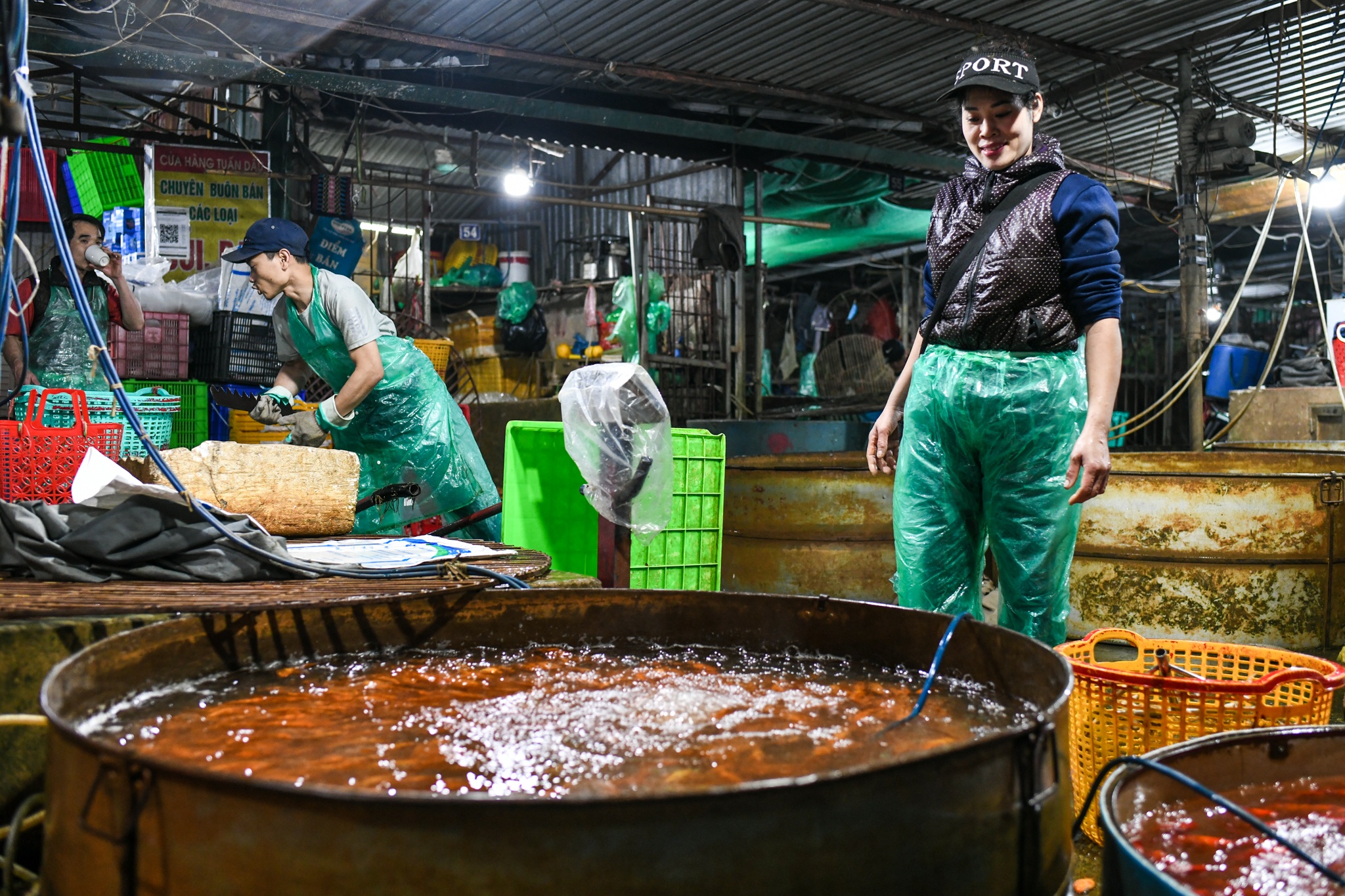 Gia ca chep giam manh anh 10