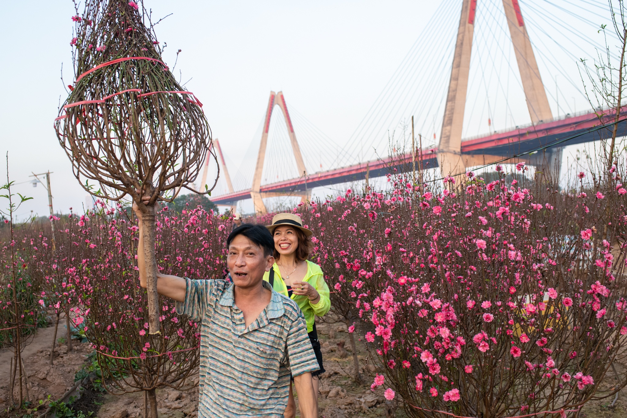 Lang dao nhat tan anh 4