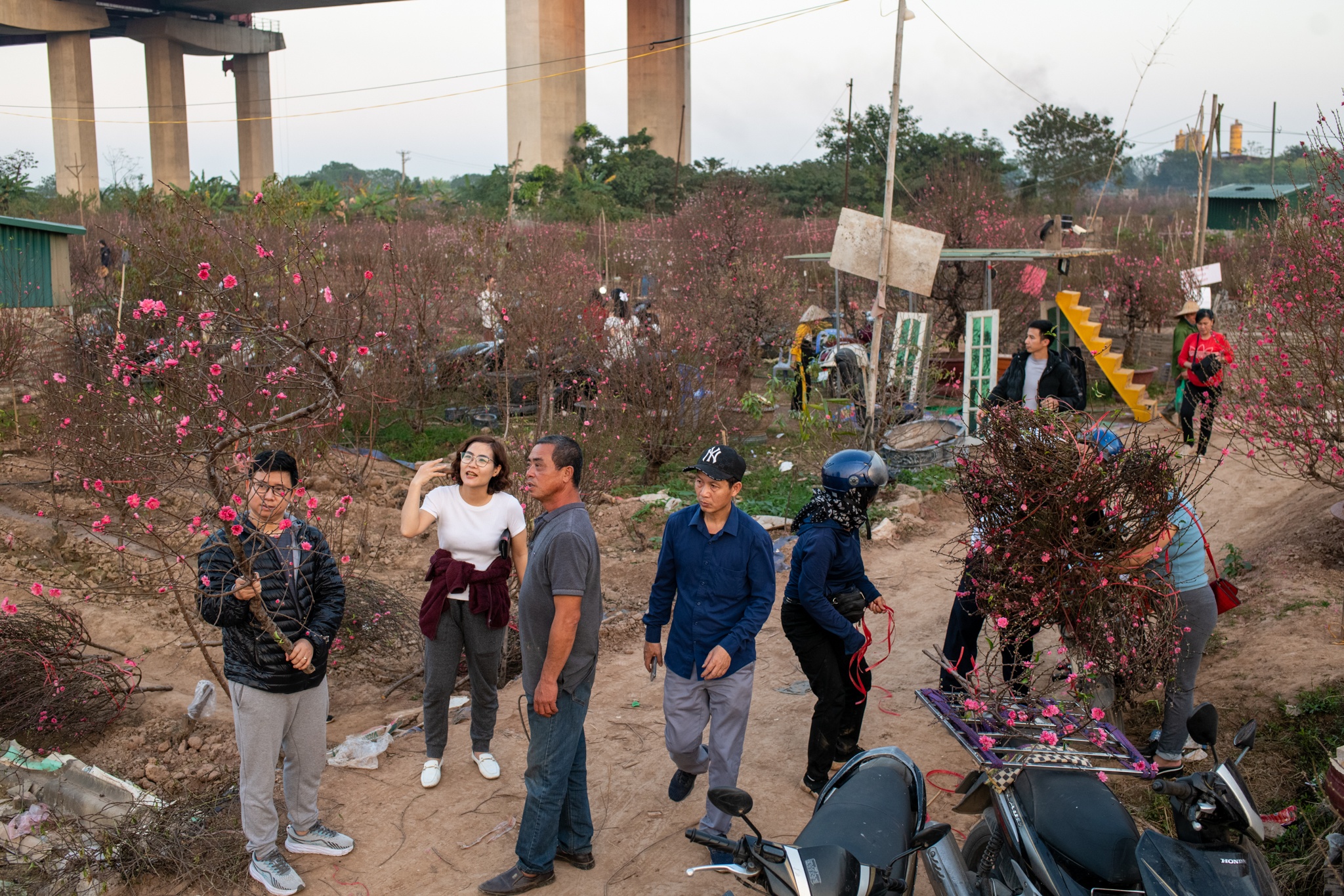 Lang dao nhat tan anh 2