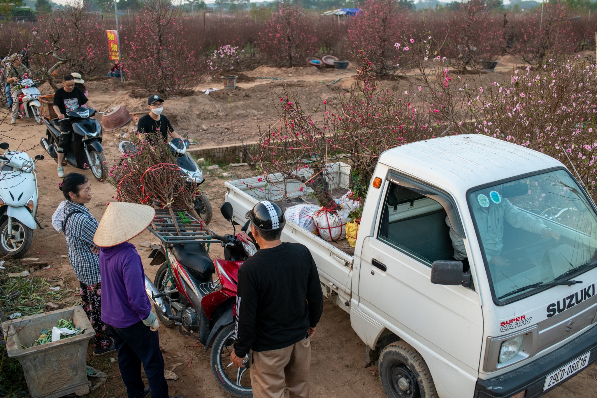 Lang dao nhat tan anh 8