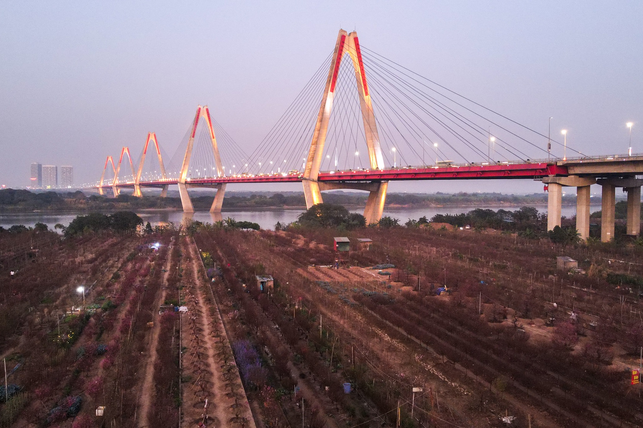 Lang dao nhat tan anh 9