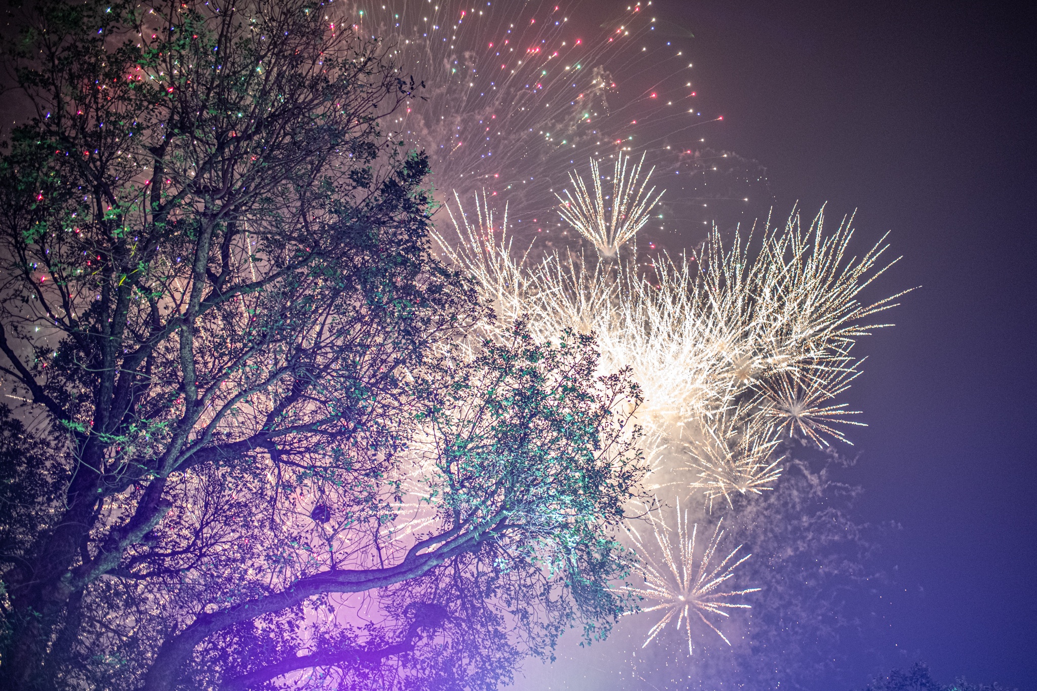 Tết âm lịch 2023 ảnh 9 Tet am lich 2023 anh 9