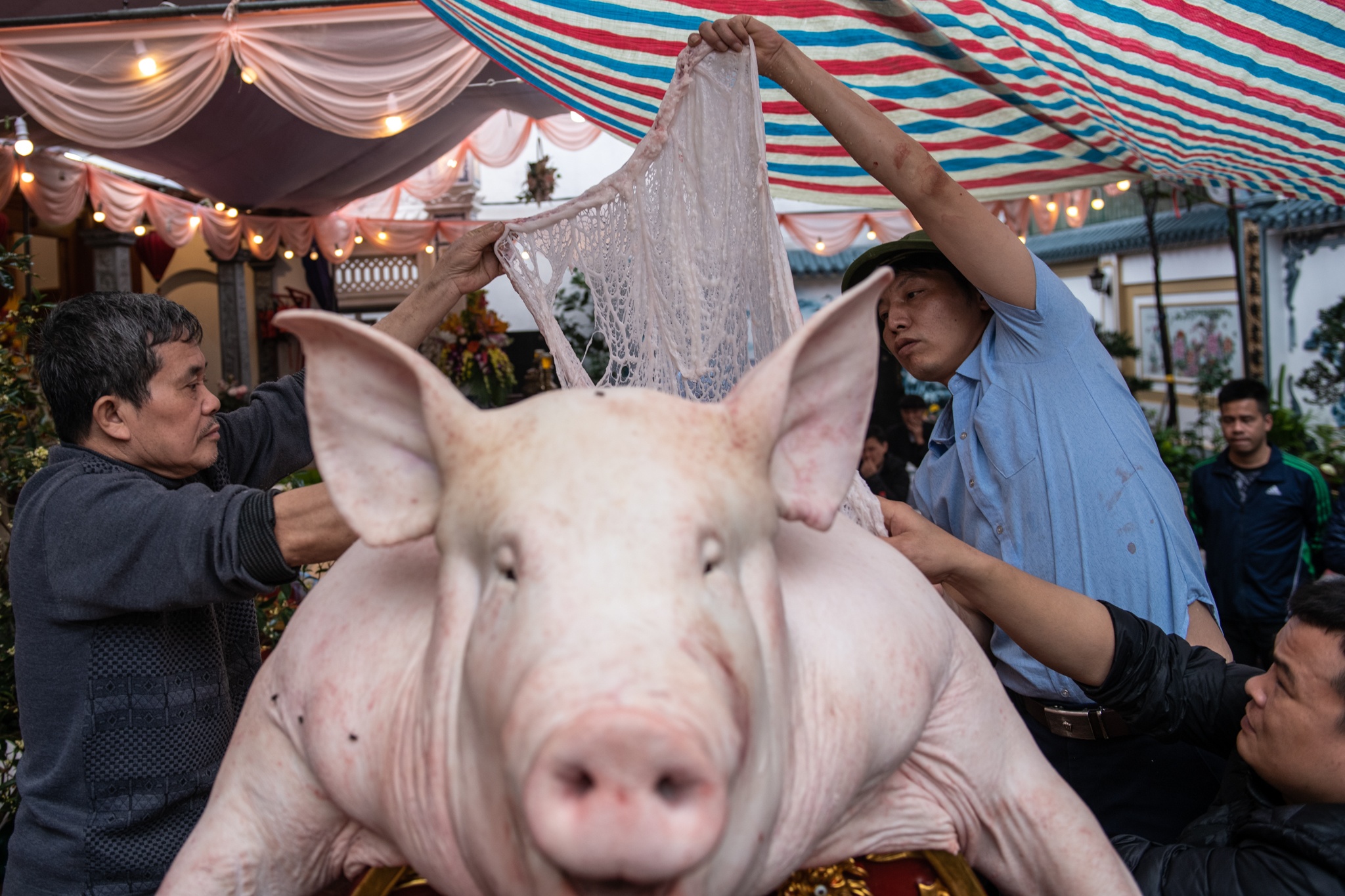 le ruoc lon La Phu anh 3