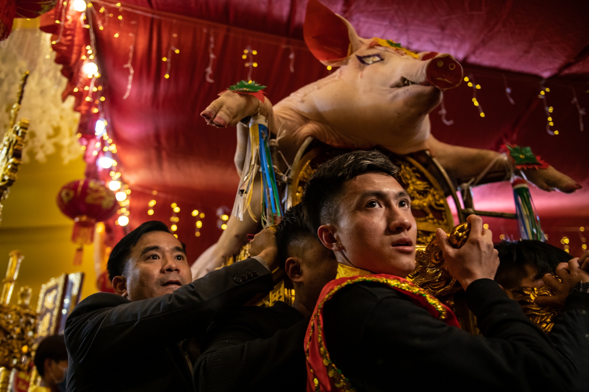 le ruoc lon La Phu anh 7