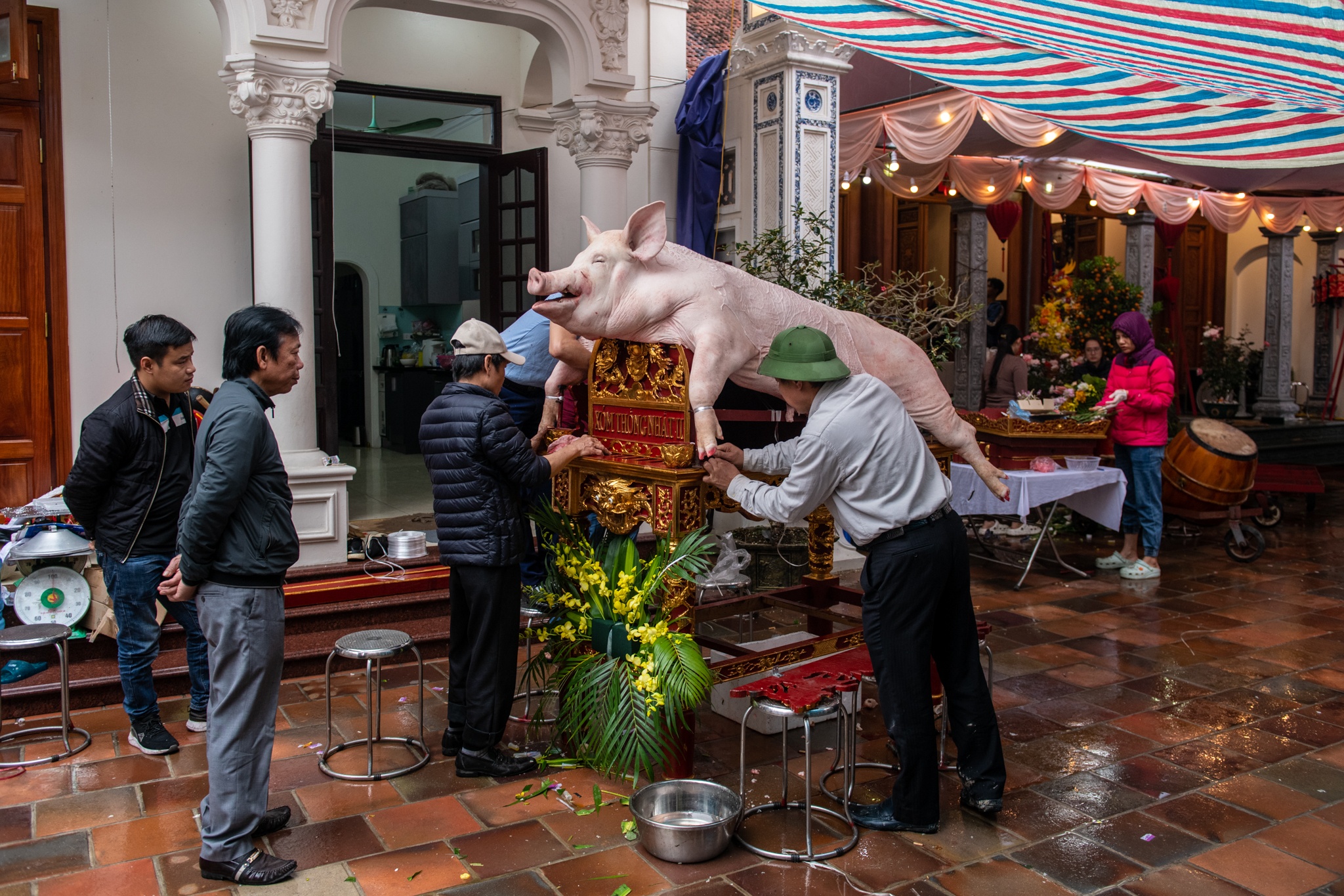 le ruoc lon La Phu anh 2