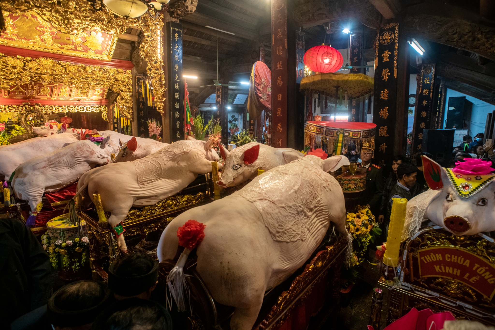 le ruoc lon La Phu anh 10