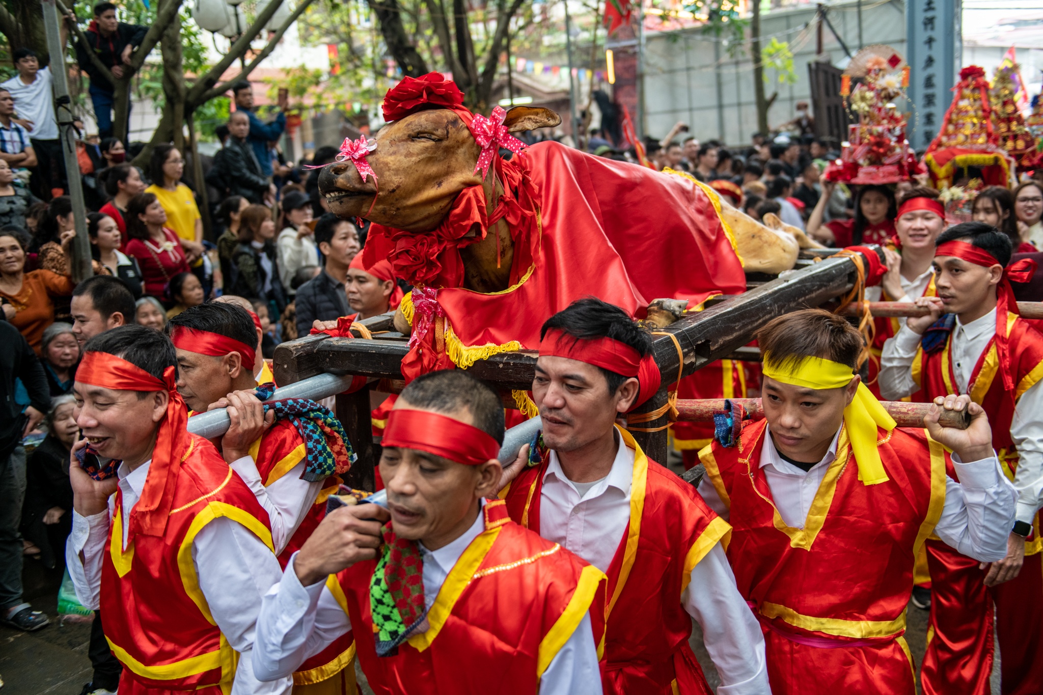 ruoc kieu Tho Ha anh 13