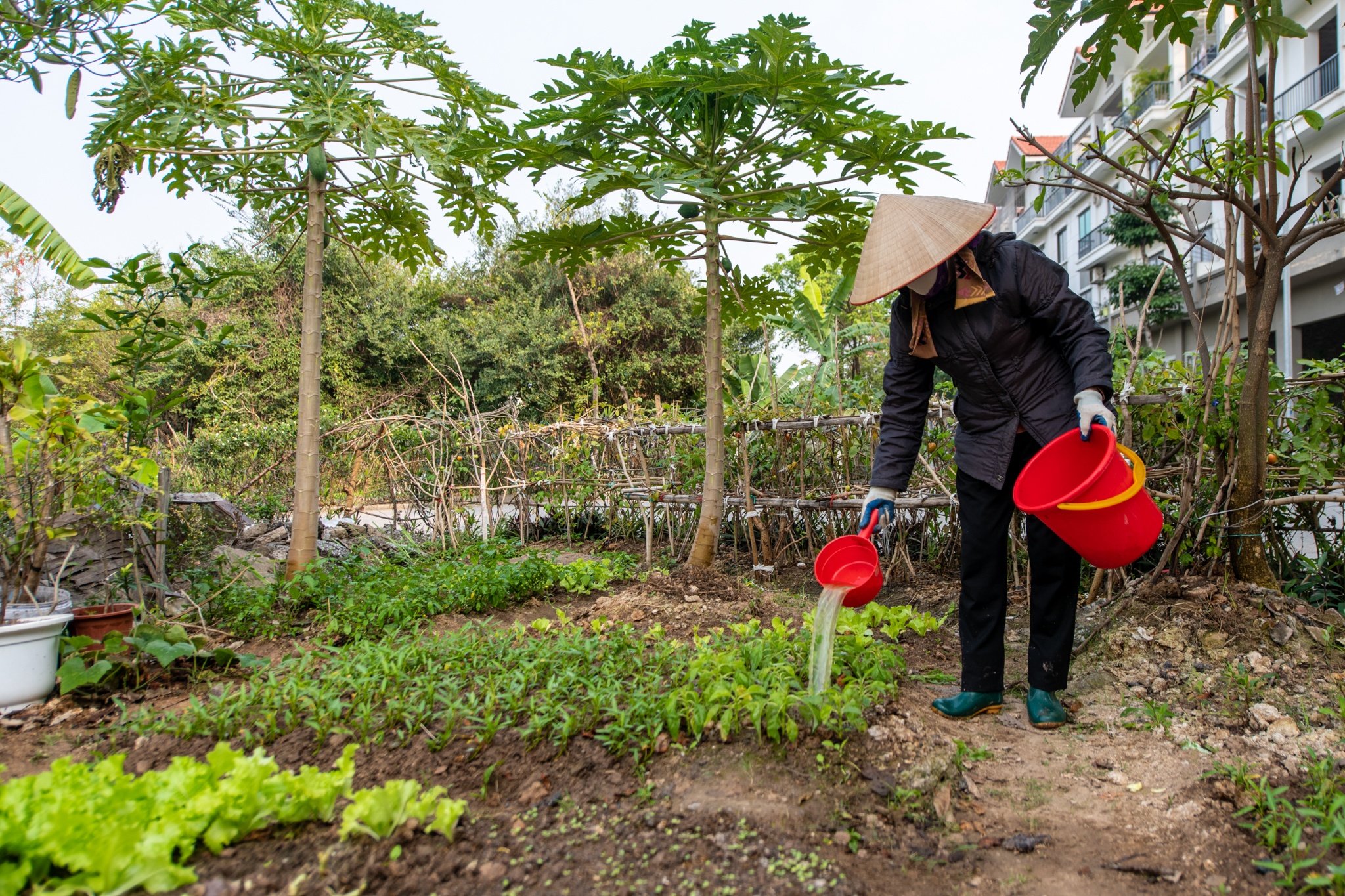 Khu do thi Phu Luong anh 11