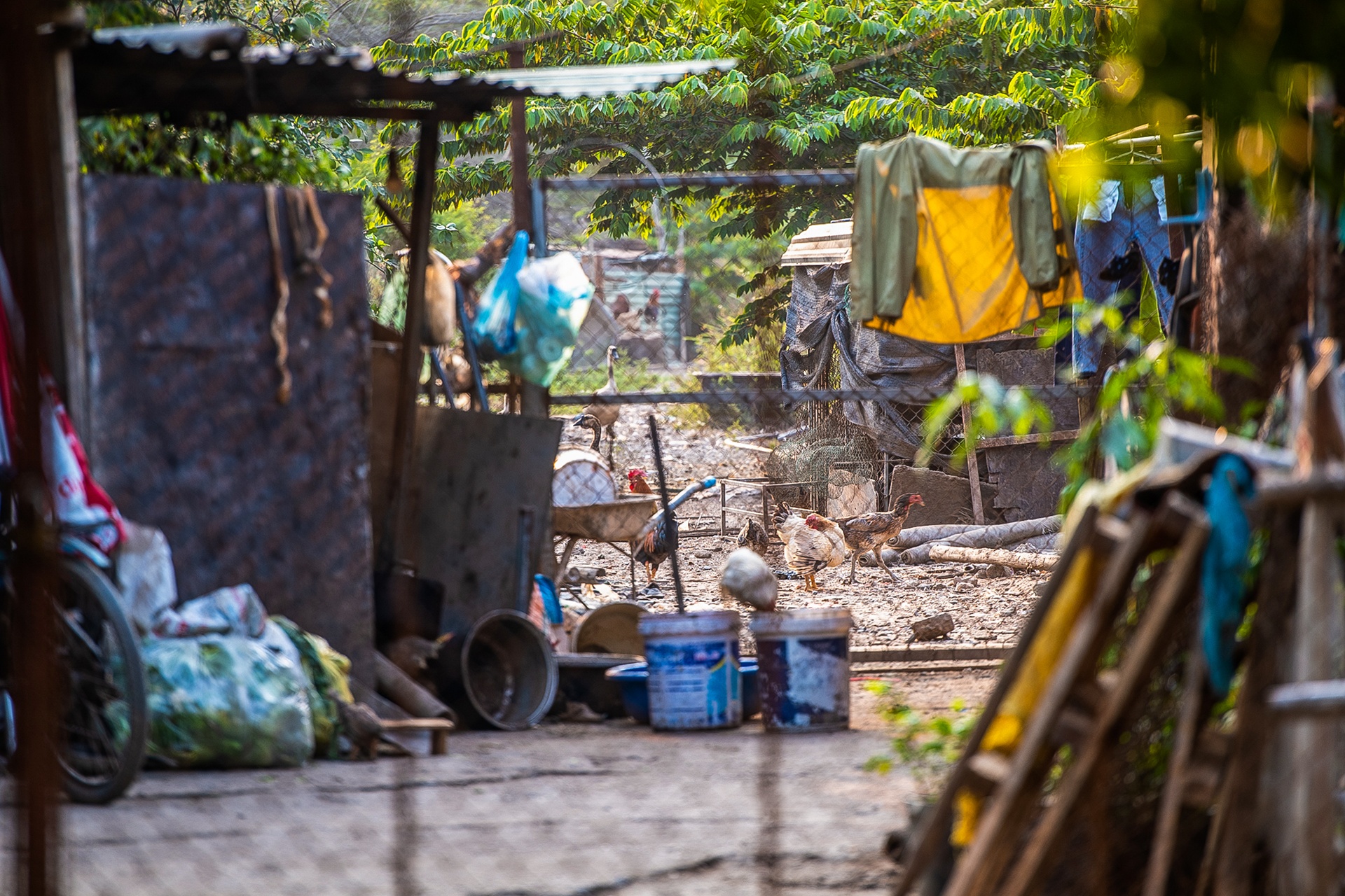 Khu do thi Phu Luong anh 10