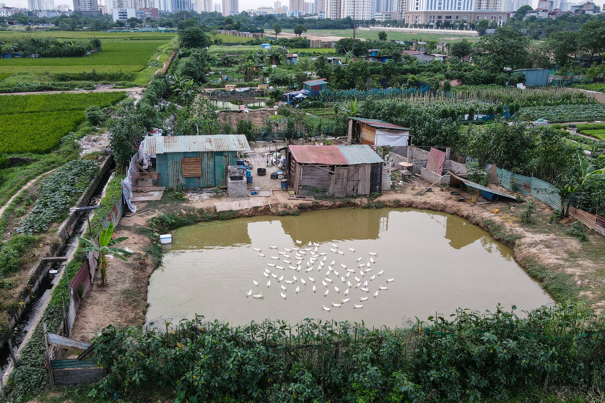 Tru so bo nganh HN anh 6