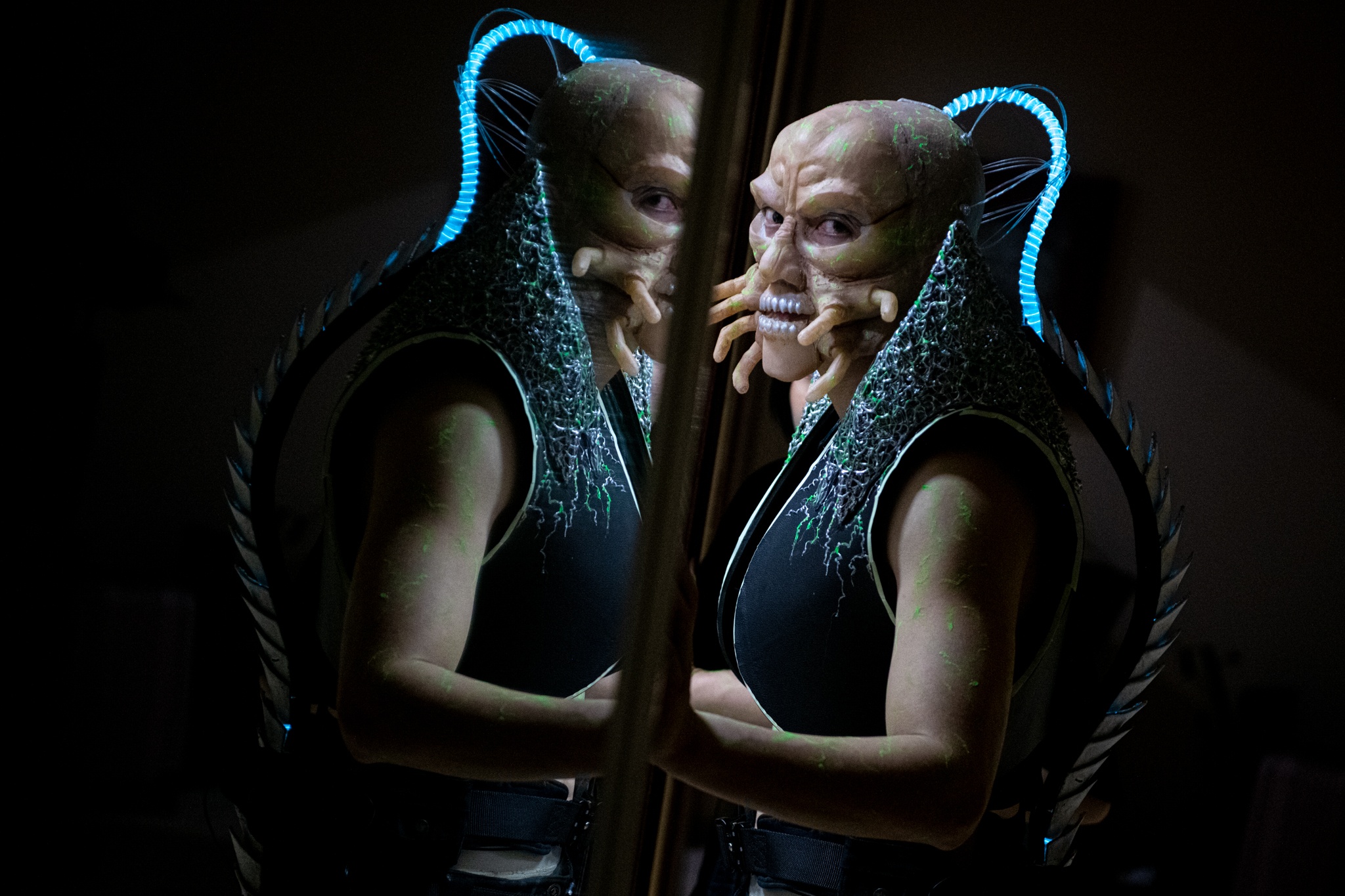 Hoa trang nghe thuat anh 1