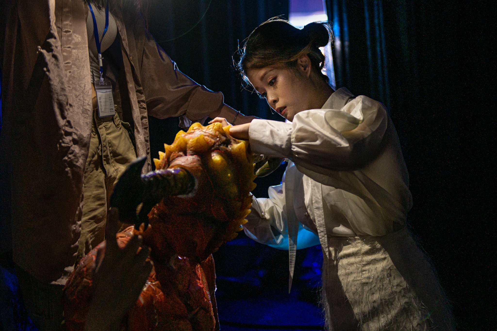 Hoa trang nghe thuat anh 3