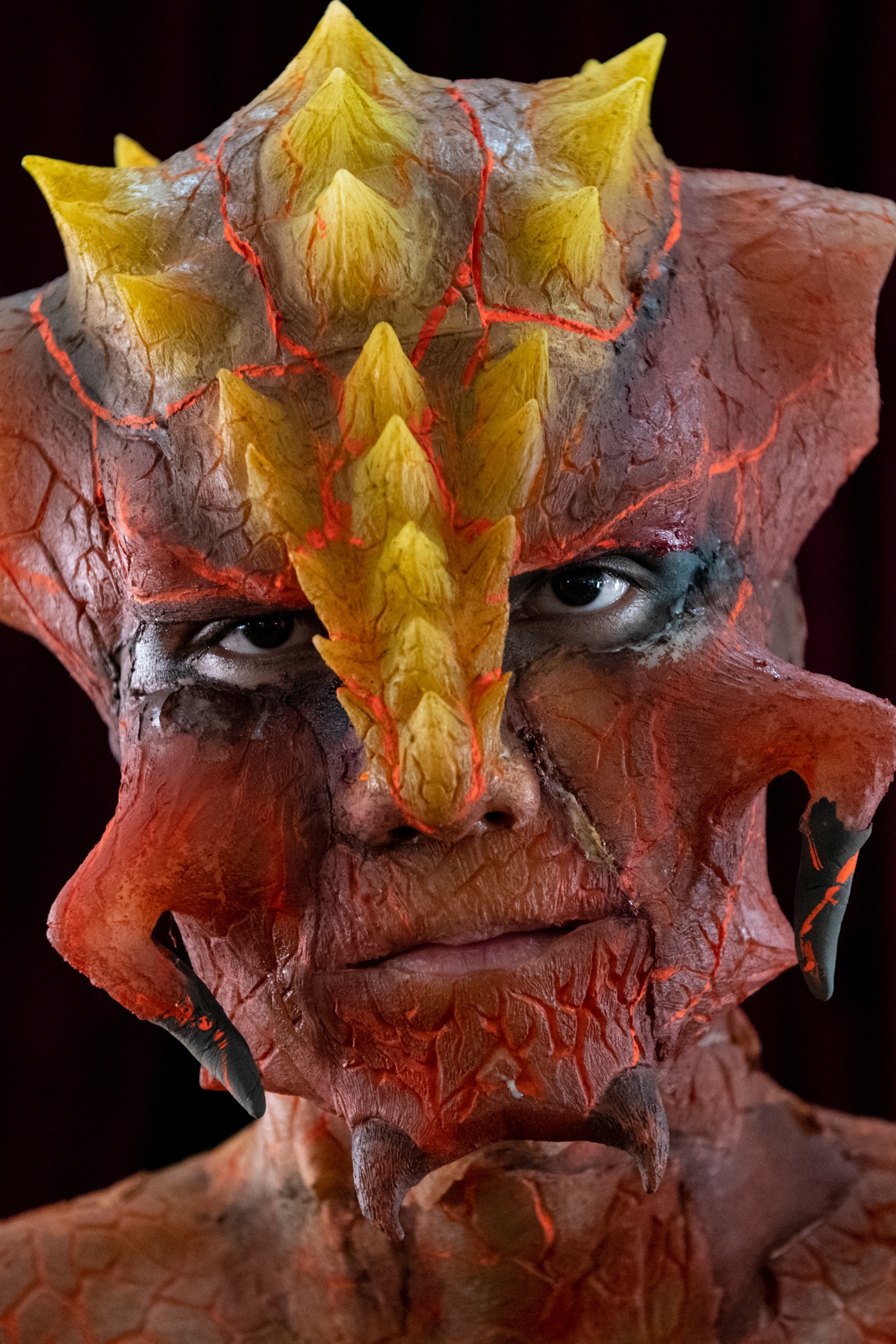 Hoa trang nghe thuat anh 7