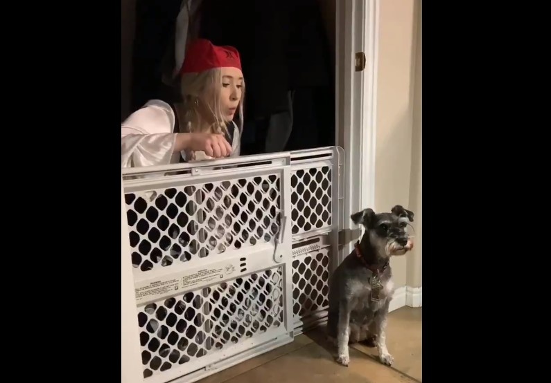 giai tri o nha mua dich anh 2