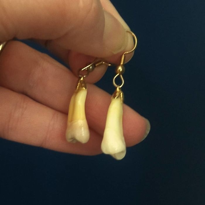 Don nha mua dich anh 8