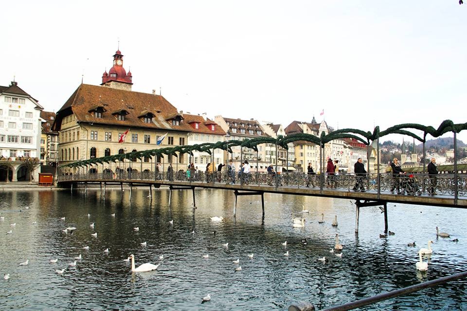 Dòng sông Reuss êm đềm chảy ngang miền trung Thuỵ Sĩ thêm phần sinh động bởi màu trắng muốt cánh thiên nga.