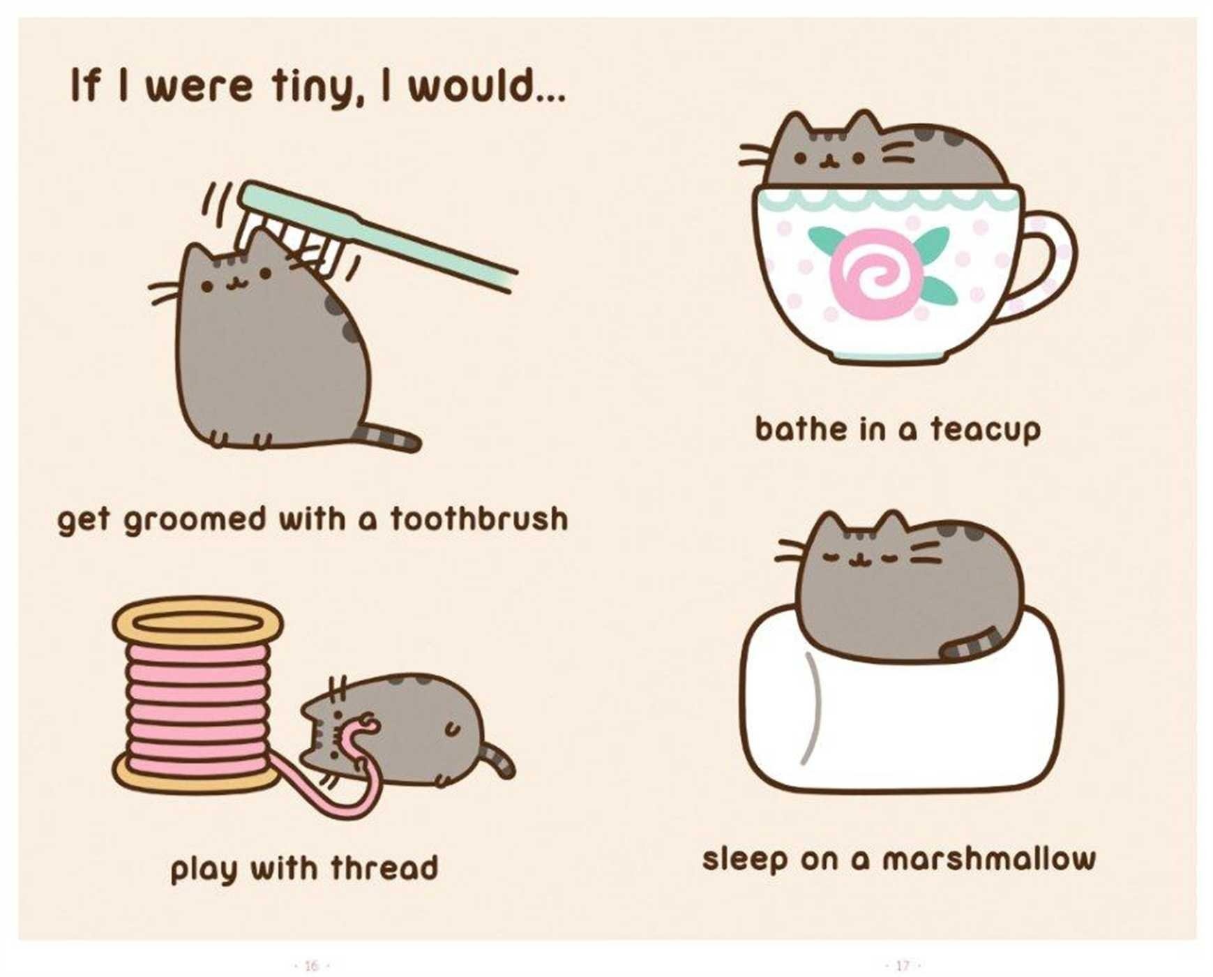 pusheen anh 1