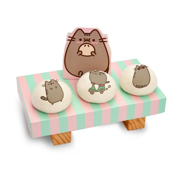 pusheen anh 7