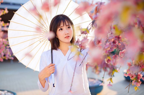 Ngam hoa xuan no ro khap noi tren the gioi ngay dau nam hinh anh