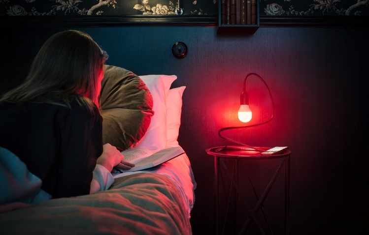 khach san mien phi anh 1