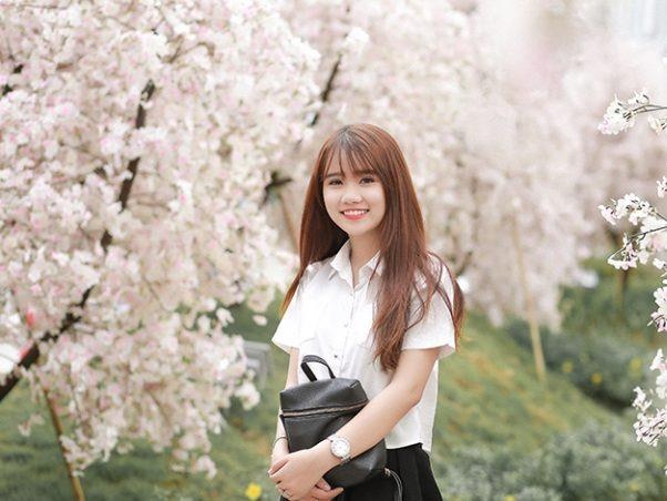 Lich hoa anh dao khoe sac tai cac tinh cua Nhat Ban hinh anh