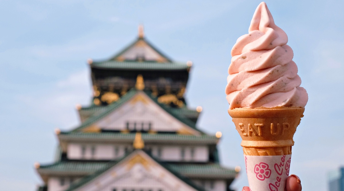 mon an hoa anh dao anh 6