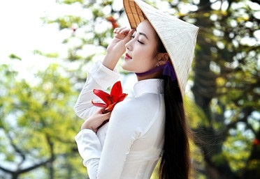 Chiem nguong con duong hoa gao dep tua thuoc phim o Ha Noi hinh anh