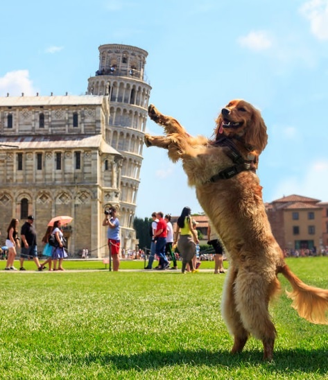 check in sang tao voi thap nghieng pisa anh 12