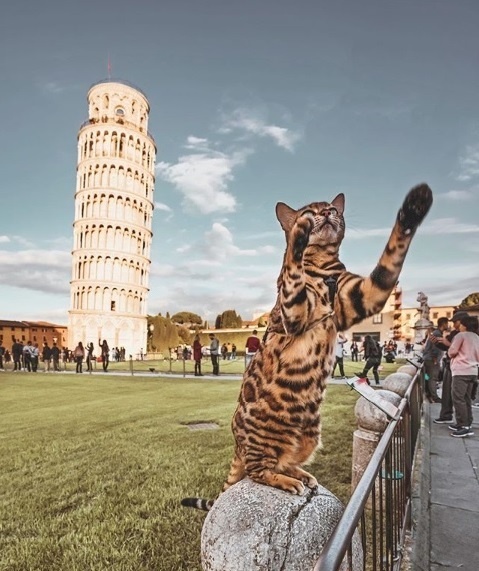 check in sang tao voi thap nghieng pisa anh 13