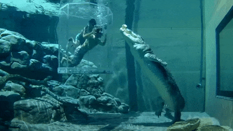 Boi cung ca sau trong 'long tu than' khong khac gi phim kinh di hinh anh