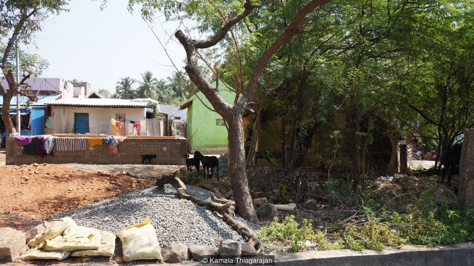 du lịch ấn độ ảnh 3 du lich an do anh 3