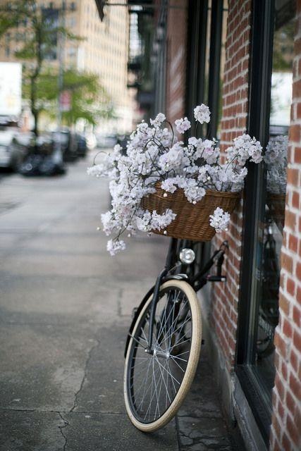 check in cung xe dap anh 5