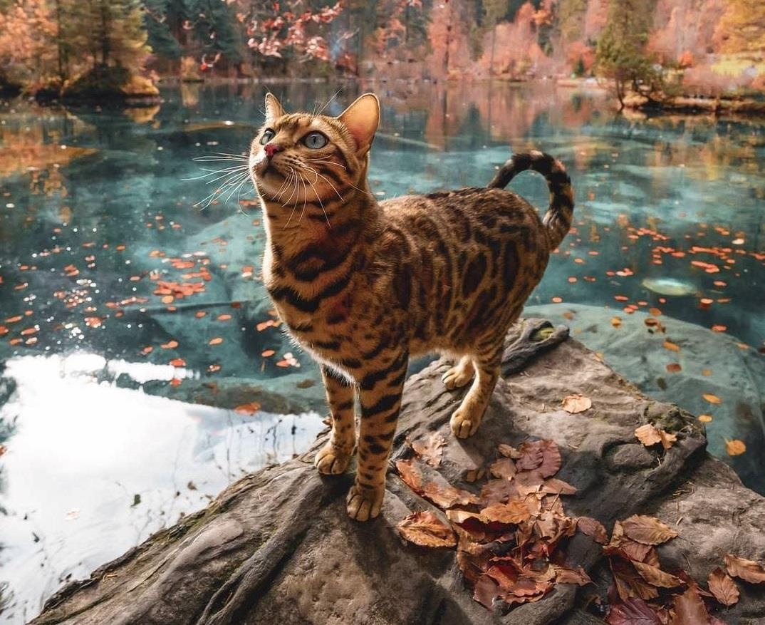 Du lich sang chanh cung meo cung khap chon 'tien canh' tren the gioi hinh anh