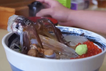 Muc 'nhay mua', thit ngua song va nhung mon kinh di o Nhat Ban hinh anh