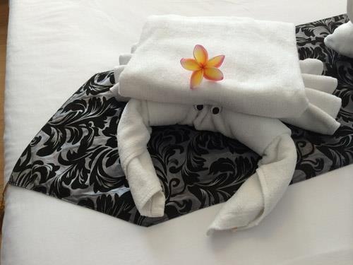 khan tam du lo lung anh 5